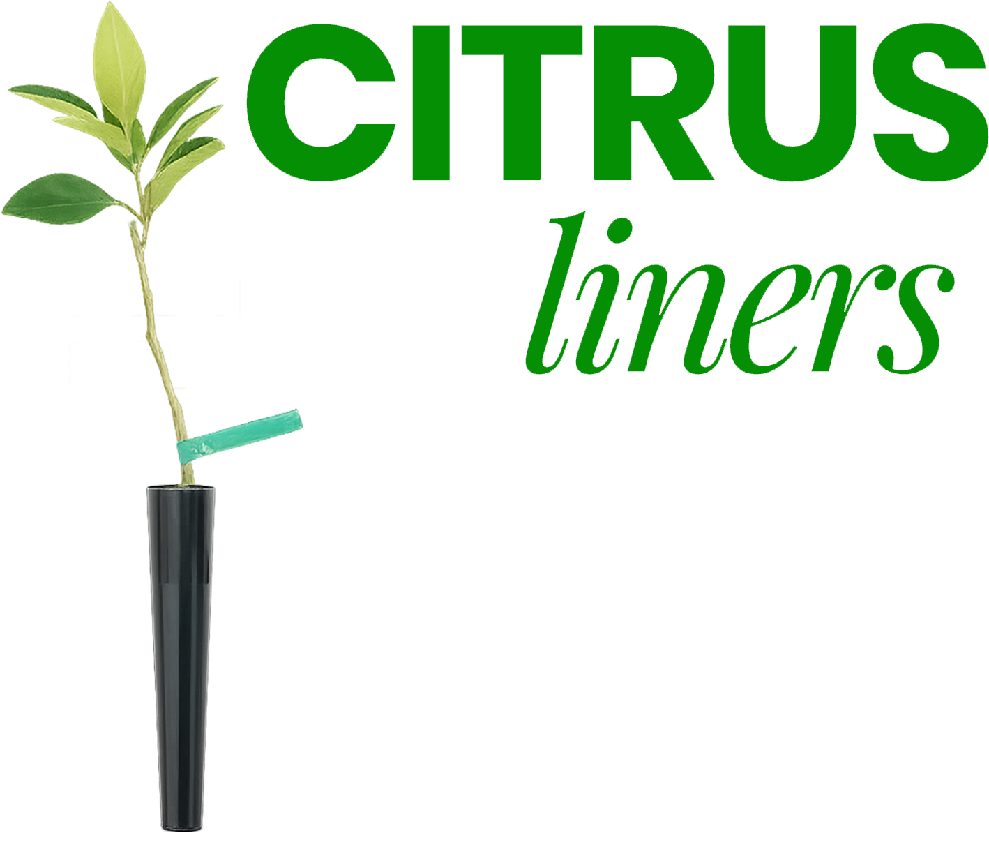 Citrus Liners = Citrus Made Easy