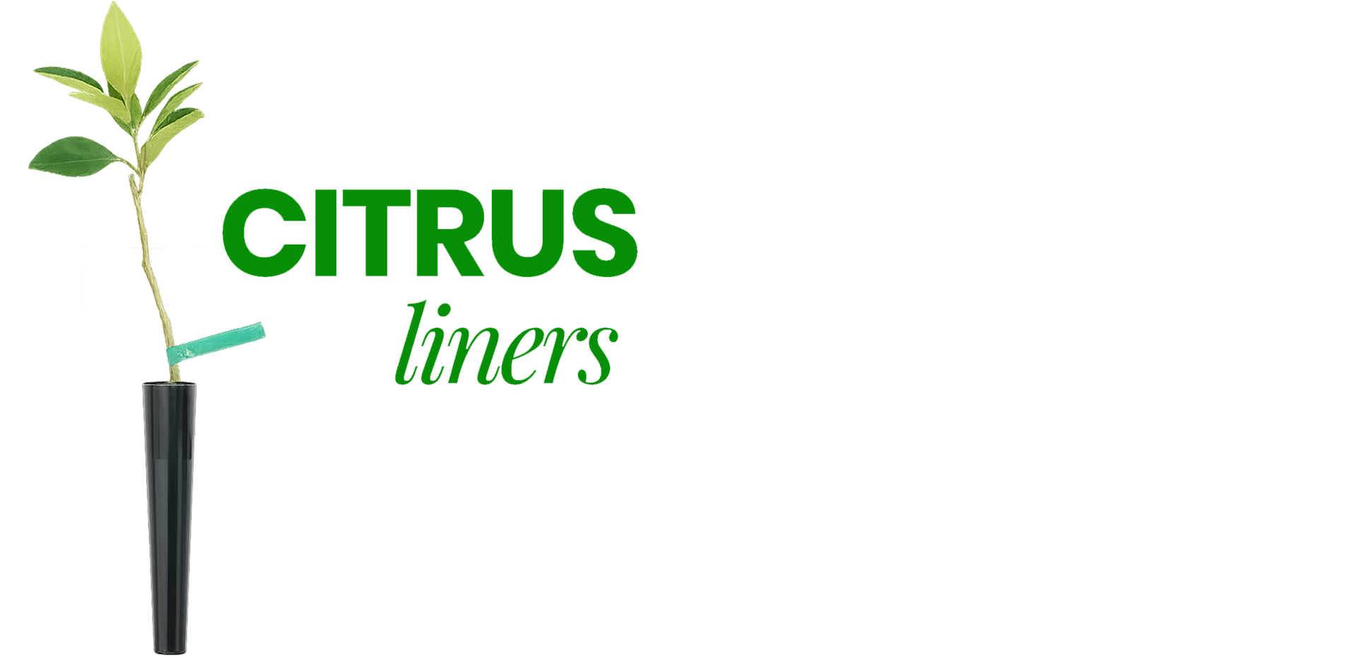Citrus Liners = Citrus Made Easy